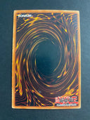 Yugioh Ring of Magnetism SDP-039 Common Unlimited Edition HP