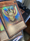 Yugioh Fluffal Owl FUEN-EN017 1st Edition VLP