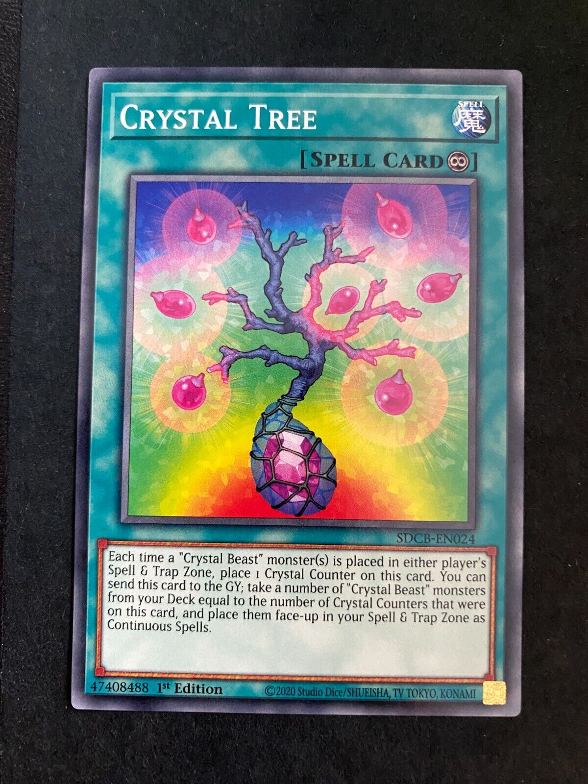 Yugioh Crystal Tree SDCB-EN024 Common 1st Edition NM