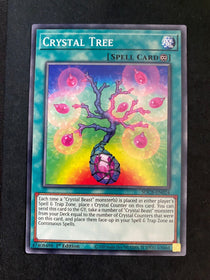 Yugioh Crystal Tree SDCB-EN024 Common 1st Edition NM