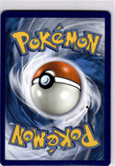 Pokemon Pangoro 94/181 Team Up Non Holo NM