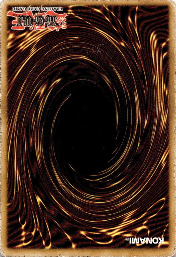 Yugioh Amazoness Willpower DREV-EN072 Common Unlimited Edition DAMAGED
