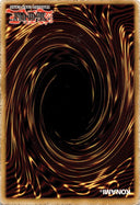 Yugioh Amazoness Willpower DREV-EN072 Common Unlimited Edition DAMAGED