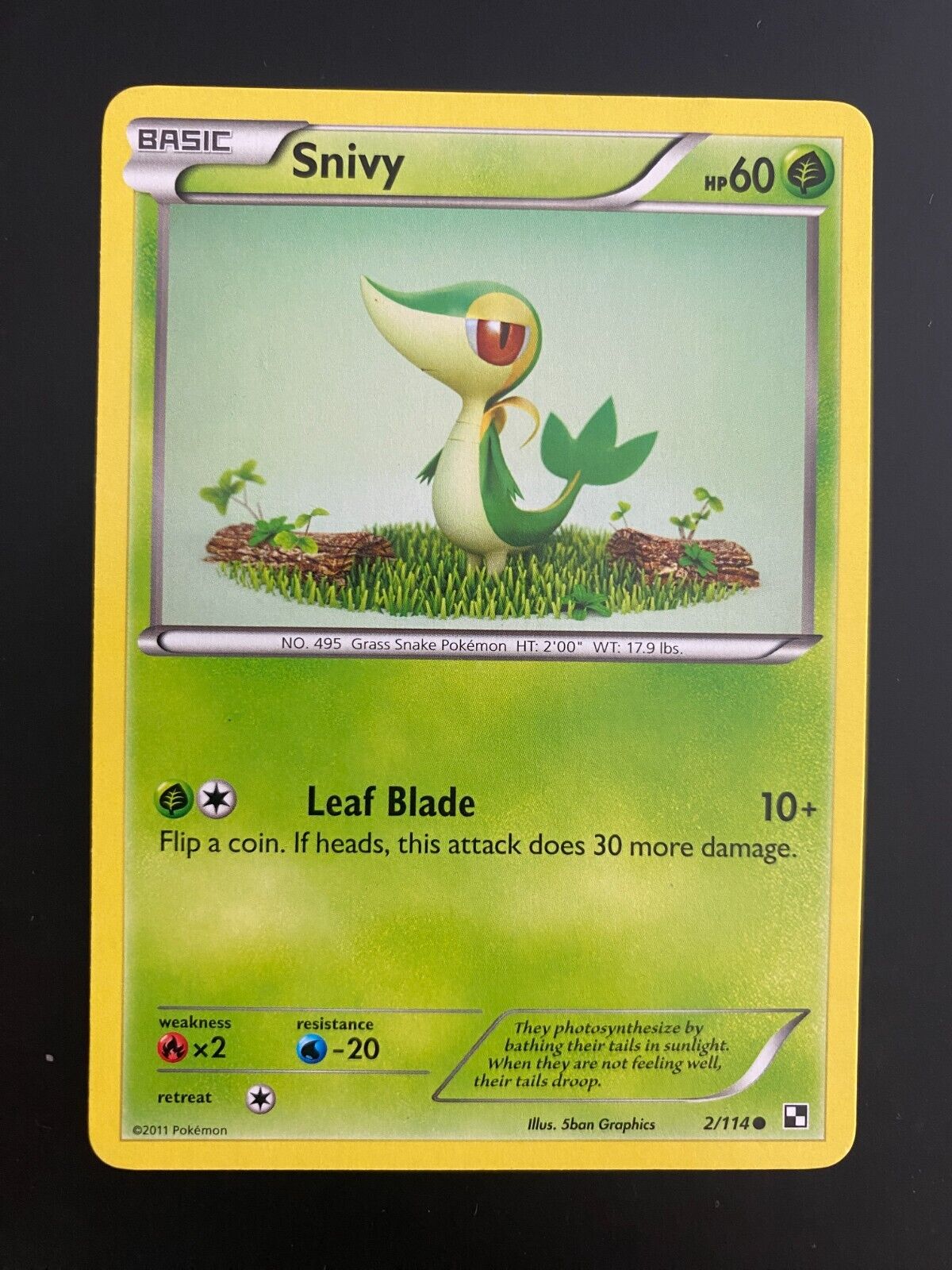 Pokemon Snivy 2/114 Black White Base Non Holo VLP-NM