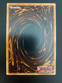 Yugioh Forest LOB-EN046 Unlimited Edition Common NM