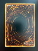 Yugioh The Terminus of the Burning Abyss PGL3-EN088 Gold Rare 1st Ed NM/MINT