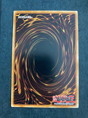 Yugioh Curse of Dragon RP01-EN009 Common Retro Pack Reprint NM