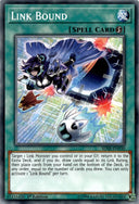 Yugioh Link Bound SDSB-EN030 Common 1st Edition NM
