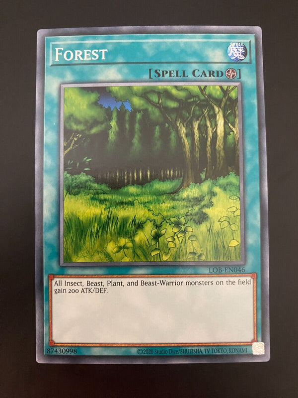 Yugioh Forest LOB-EN046 Unlimited Edition Common NM/MINT