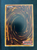 Yugioh Echelon of the Fire Kings SR14-EN033 Super Rare 1st Edition NM