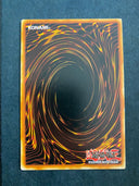 Yugioh Vengeful Servant CRMS-EN046 Common 1st Edition LP