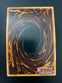 Yugioh The Phantom Knights of Cursed Javelin MACR-EN042 Super Rare 1st VLP/NM