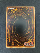 Yugioh Earthbound Immortal Aslla Piscu RGBT-EN019 Ultra Rare 1st Edition LP