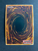 Yugioh Ghost Reaper & Winter Cherries MAGO-EN010 Premium Gold Rare 1st Ed NM