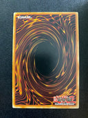 Yugioh Elemental Hero Voltic SDHS-EN004 Common 1st Edition LP