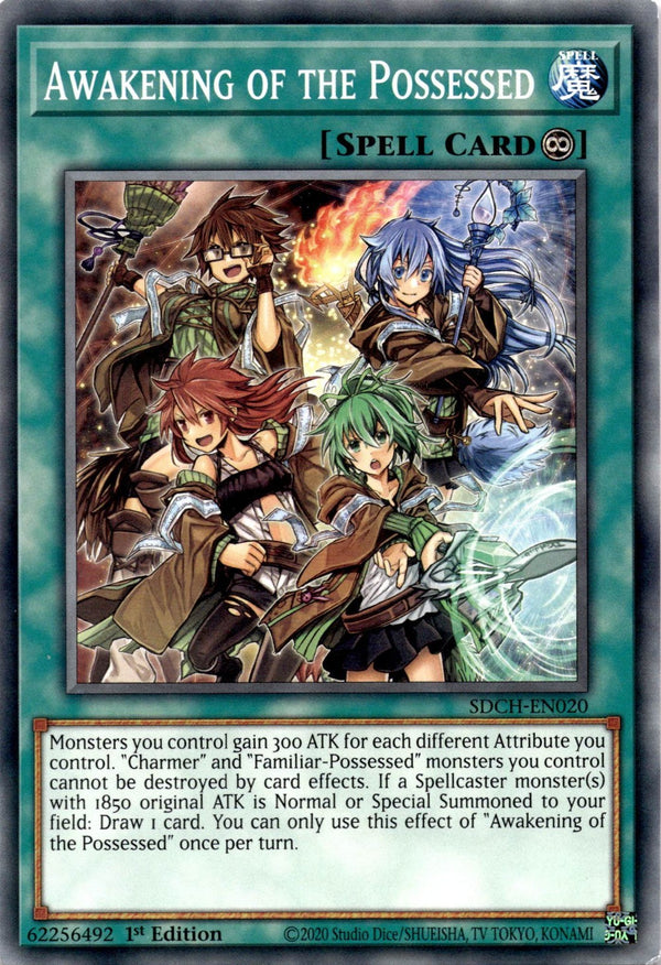 Yugioh Awakening of the Possessed SDCH-EN020 Common 1st Edition VLP/NM