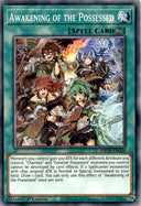 Yugioh Awakening of the Possessed SDCH-EN020 Common 1st Edition VLP/NM