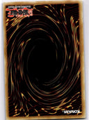 Yugioh Tornado Wall SBC1-ENC18 Common 1st Edition NM