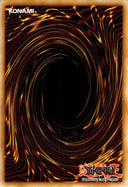 Yugioh Pre-Preparation of Rites RA01-EN055 Collector’s Rare 1st Edition NM