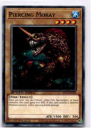 Yugioh Piercing Moray SBC1-ENC06 Common 1st Edition NM