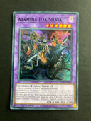 Yugioh Azamina Ilia Silvia ROTA-EN030 Super Rare 1st Edition NM