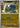 Pokemon Cranidos 044/084 Pitch Black Reverse Holo NM