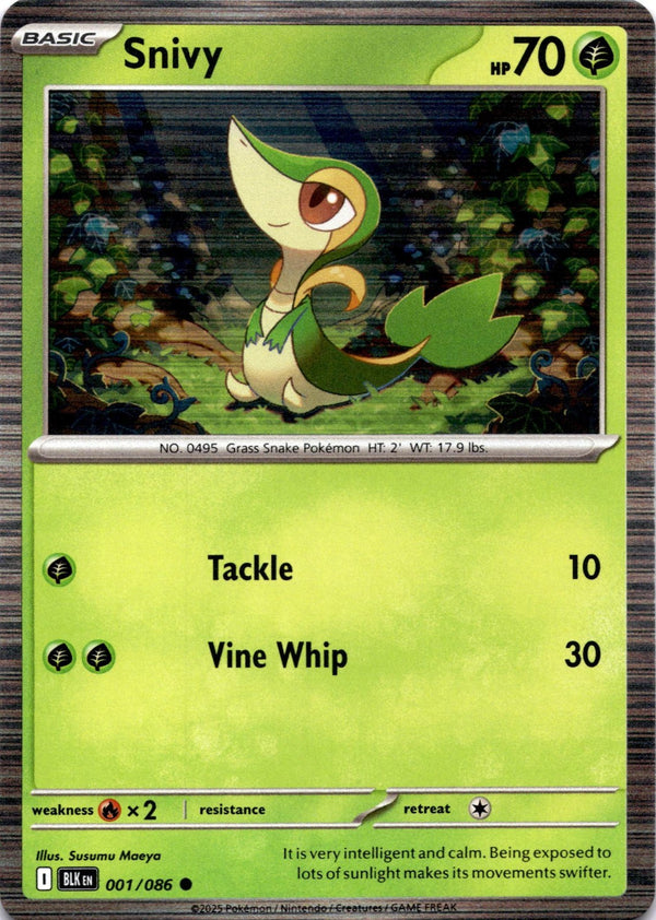 Pokemon Snivy 001/086 Black Bolt Holo NM