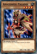 Yugioh Amazoness Paladin SGX3-END04 Speed Duel Common 1st Edition NM