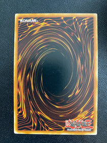 Yugioh Dogmatika Nexus ROTD-EN010 Common 1st Edition VLP/NM