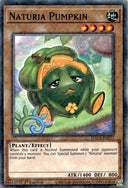Yugioh Naturia Pumpkin HAC1-EN117 Duel Terminal Common 1st Edition NM