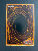Yugioh Cocoon Veil TAEV-EN065 Common 1st Edition LP