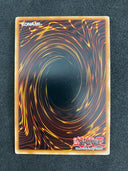 Yugioh Damage Eater DP10-EN009 1st Edition Common MP-LP