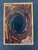 Yugioh Terraforming MAGO-EN141 Gold Rare 1st Edition Mint