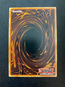 Yugioh Megalosmasher X SR04-EN003 Common Unlimited Edition NM