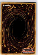 Yugioh Heavy Polymerization RA05-EN071 NA Print Ultimate Rare 1st Edition NM