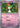 Pokemon Ralts 087/217 Ascended Heroes Non Holo NM