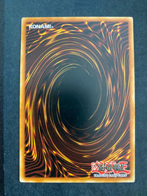 Yugioh World Legacy Scars EXFO-EN056 Rare 1st Edition MP