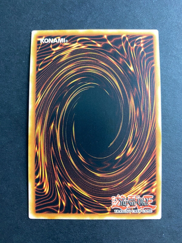 Yugioh Heavenly Dragon Circle ROTD-EN066 Common 1st Edition NM