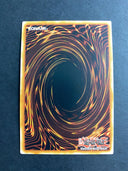 Yugioh Heavenly Dragon Circle ROTD-EN066 Common 1st Edition NM