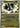 Pokemon Luxray 028/088 Perfect Order Reverse Holo NM