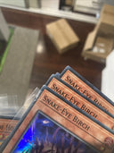 Yugioh Snake-Eye Birch AGOV-EN009 Super Rare 1st Edition LP
