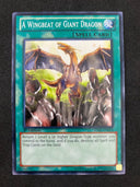 Yugioh A Wingbeat Of Giant Dragon SDBE-EN023 1st Edition NM