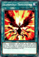 Yugioh Salamangreat Transcendence MP20-EN180 Common 1st Edition LP