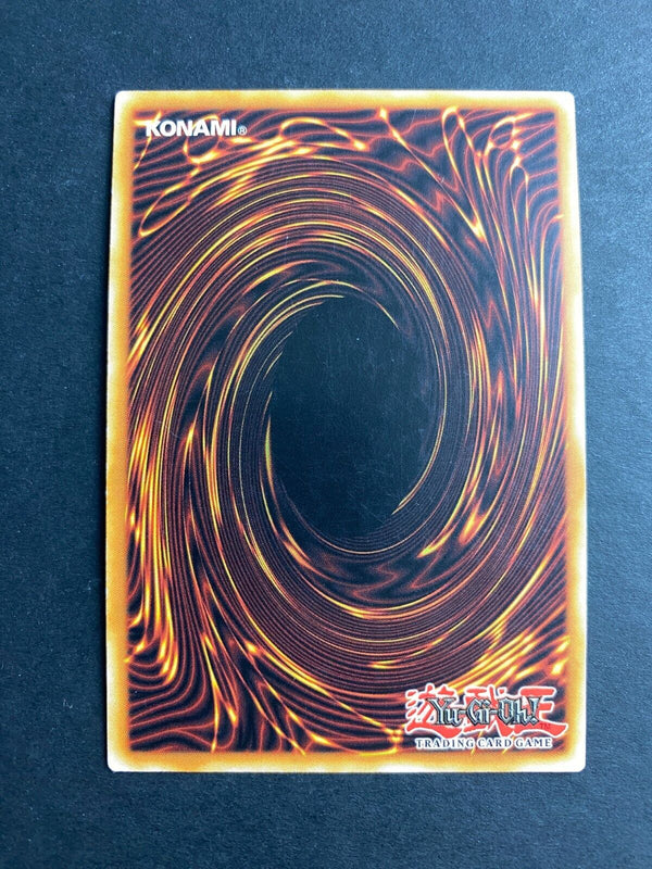 Yugioh Raiza The Storm Monarch PGLD-EN062 Gold Rare 1st Edition MP