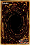 Yugioh Spirit Message "L" DPRP-EN045 Common 1st Edition NM