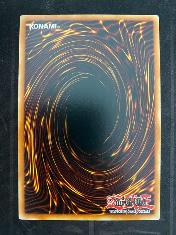 Yugioh Skilled Dark Magician YGLD-ENC19 Common 1st Edition NM/MINT