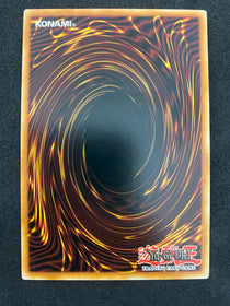 Yugioh Call Of The Haunted YS15-ENY19 1st Edition MINT