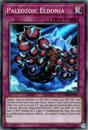 Yugioh Paleozoic Eldonia OP06-EN007 Super Rare Unlimited Edition MP