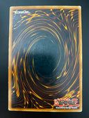 Yugioh Destiny Mirage POTD-EN049 Common Unlimited Edition HP