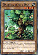 Yugioh Naturia White Oak HAC1-EN115 Duel Terminal Rare 1st Edition NM